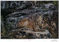 Ray Holing - Leopard Rock